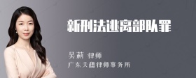 新刑法逃离部队罪