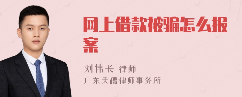 网上借款被骗怎么报案