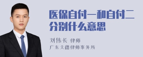 医保自付一和自付二分别什么意思