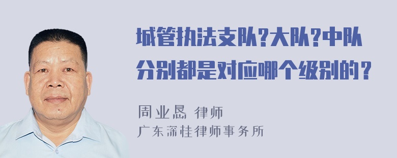 城管执法支队?大队?中队分别都是对应哪个级别的？