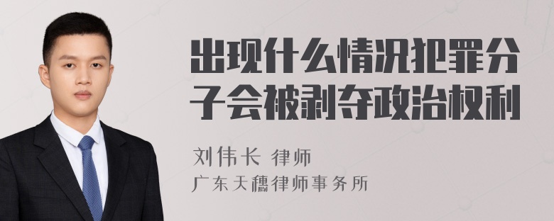 出现什么情况犯罪分子会被剥夺政治权利