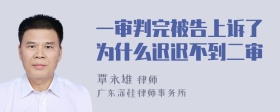 一审判完被告上诉了为什么迟迟不到二审