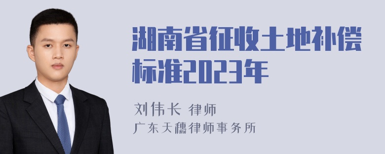 湖南省征收土地补偿标准2023年