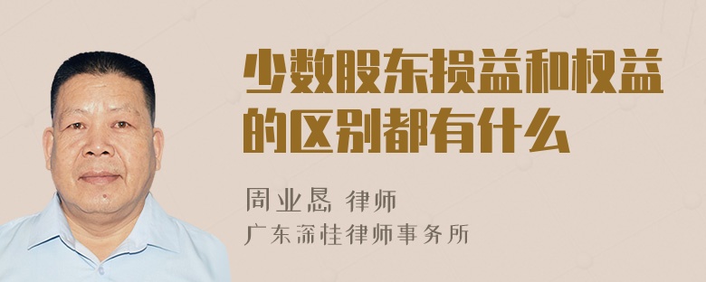 少数股东损益和权益的区别都有什么