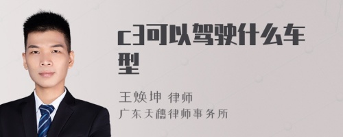 c3可以驾驶什么车型