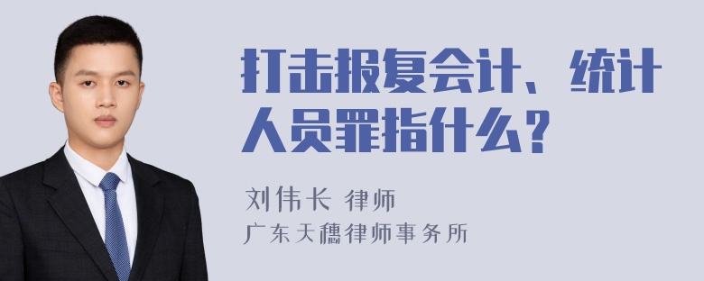 打击报复会计、统计人员罪指什么？