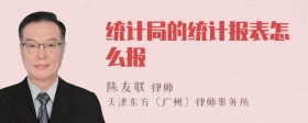 统计局的统计报表怎么报