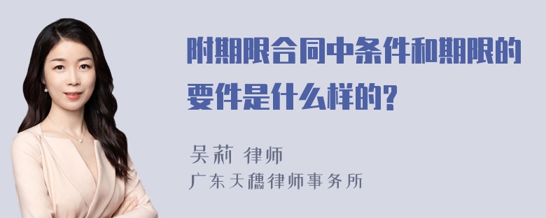 附期限合同中条件和期限的要件是什么样的?