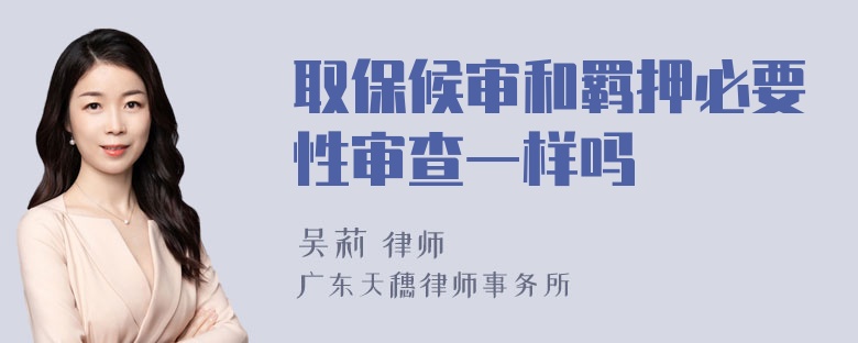 取保候审和羁押必要性审查一样吗