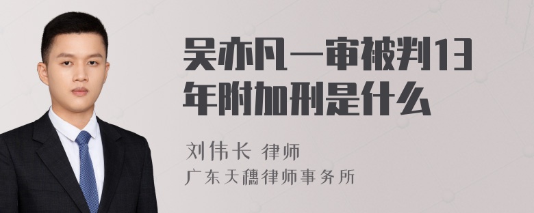 吴亦凡一审被判13年附加刑是什么