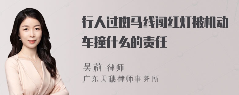 行人过斑马线闯红灯被机动车撞什么的责任