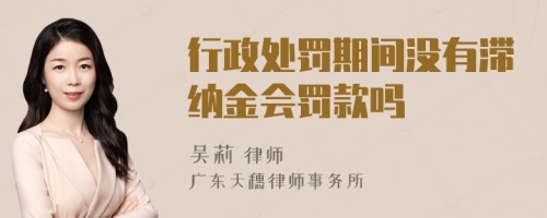 行政处罚期间没有滞纳金会罚款吗