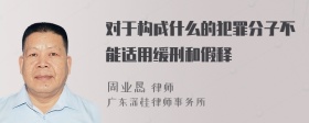 对于构成什么的犯罪分子不能适用缓刑和假释