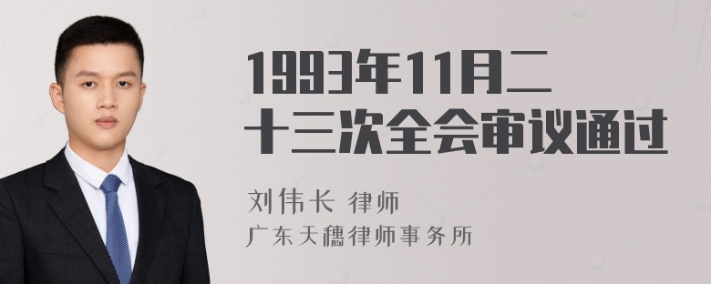 1993年11月二十三次全会审议通过