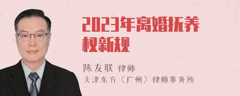 2023年离婚抚养权新规