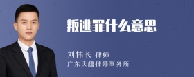 叛逃罪什么意思