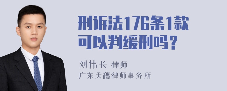 刑诉法176条1款可以判缓刑吗？