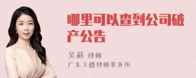 哪里可以查到公司破产公告