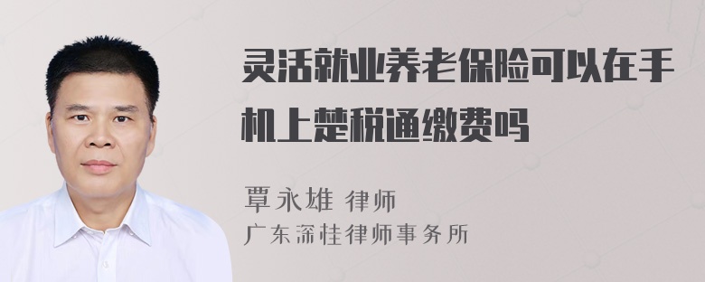 灵活就业养老保险可以在手机上楚税通缴费吗