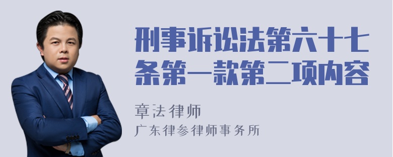 刑事诉讼法第六十七条第一款第二项内容