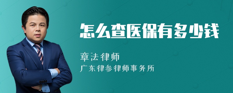 怎么查医保有多少钱