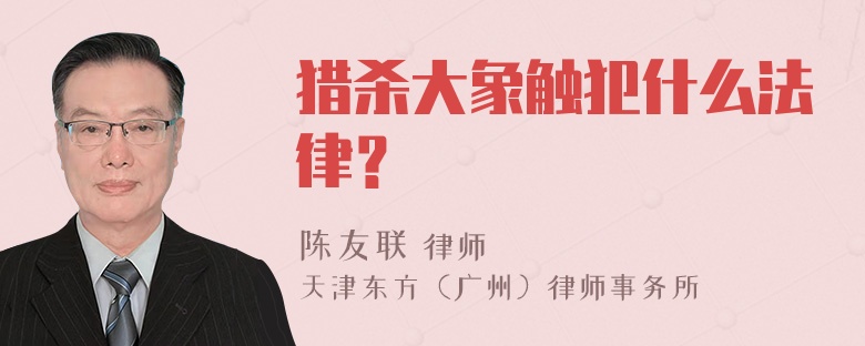 猎杀大象触犯什么法律？