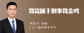 罚款属于刑事罚金吗