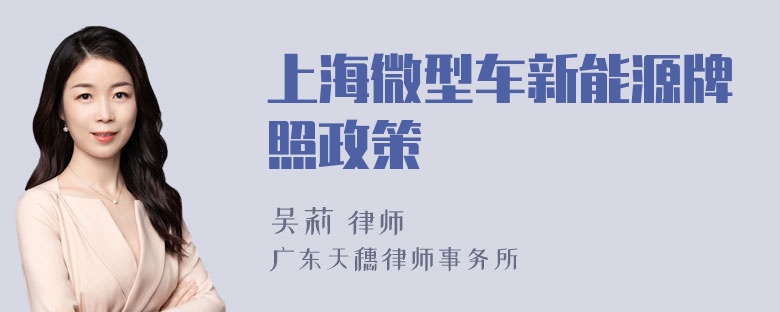 上海微型车新能源牌照政策