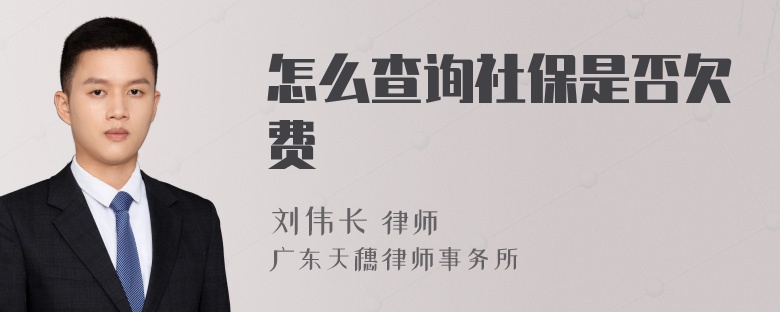 怎么查询社保是否欠费