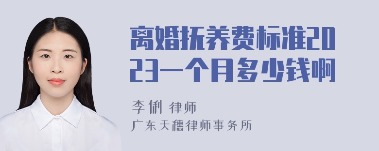 离婚抚养费标准2023一个月多少钱啊