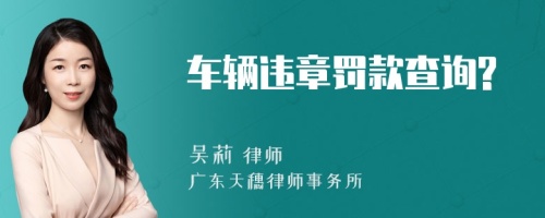 车辆违章罚款查询?