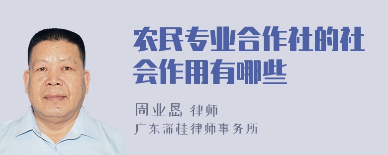 农民专业合作社的社会作用有哪些