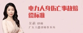 电力人身伤亡事故赔偿标准