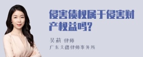 侵害债权属于侵害财产权益吗?