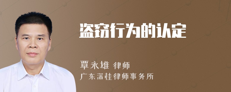 盗窃行为的认定