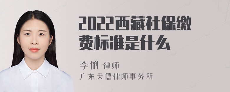 2022西藏社保缴费标准是什么