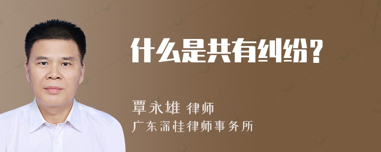 什么是共有纠纷？