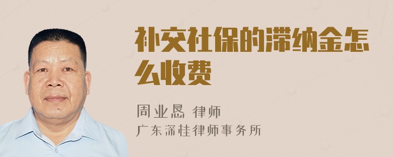 补交社保的滞纳金怎么收费