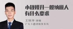 小规模升一般纳税人有什么要求