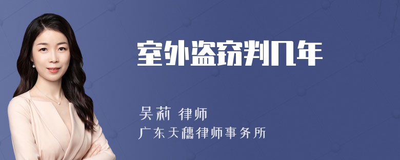 室外盗窃判几年