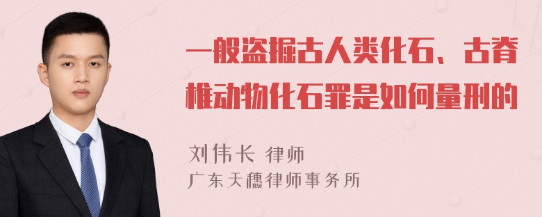 一般盗掘古人类化石、古脊椎动物化石罪是如何量刑的