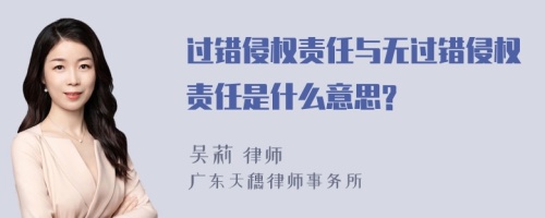 过错侵权责任与无过错侵权责任是什么意思?