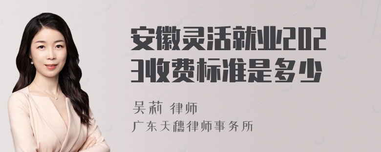 安徽灵活就业2023收费标准是多少