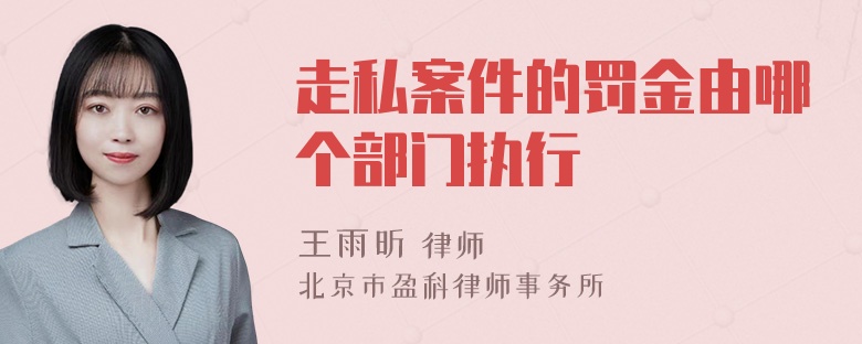 走私案件的罚金由哪个部门执行