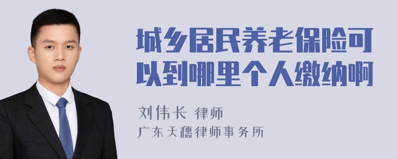 城乡居民养老保险可以到哪里个人缴纳啊