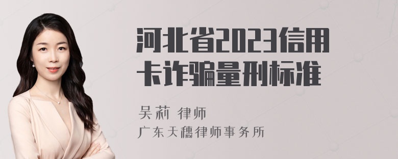 河北省2023信用卡诈骗量刑标准