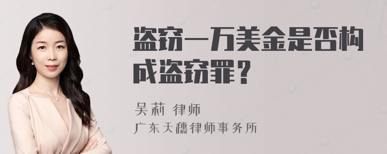 盗窃一万美金是否构成盗窃罪？