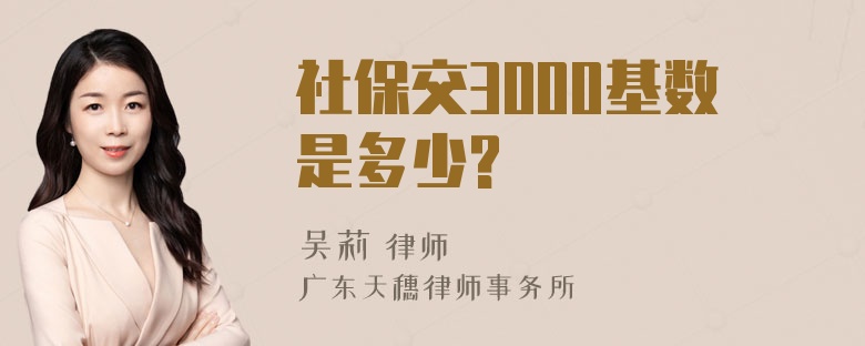 社保交3000基数是多少?