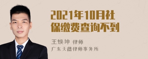 2021年10月社保缴费查询不到