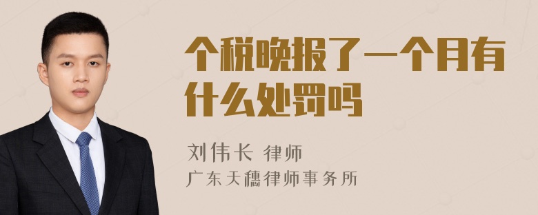 个税晚报了一个月有什么处罚吗